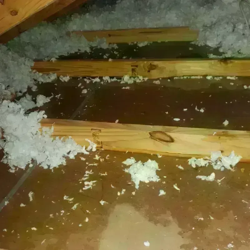 Attic Water Damage in Livermore, CA